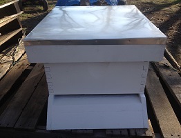 Picture of one of our types of Hives